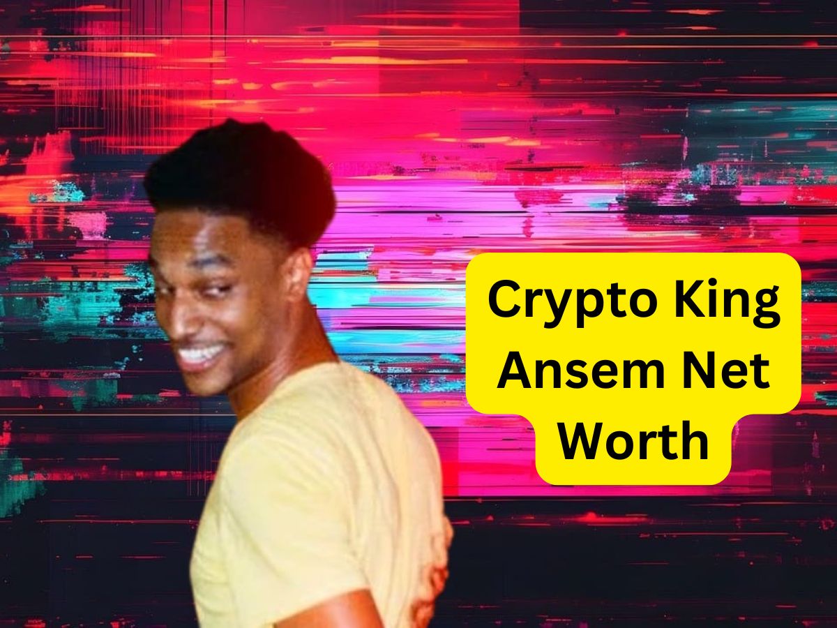 Crypto King Ansem Net Worth