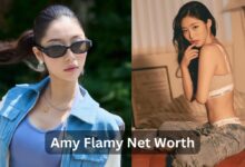 Amy Flamy Net Worth