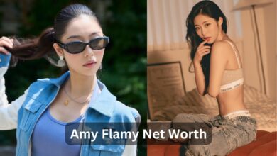 Amy Flamy Net Worth