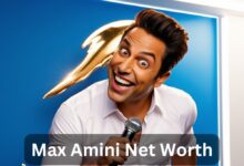 Max Amini Net Worth